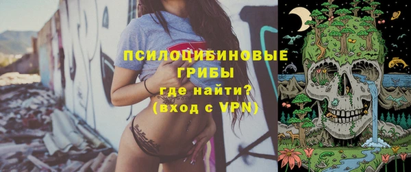 дмт Алзамай